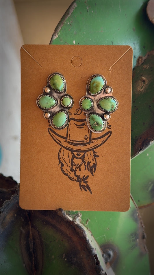 Sonoran studs