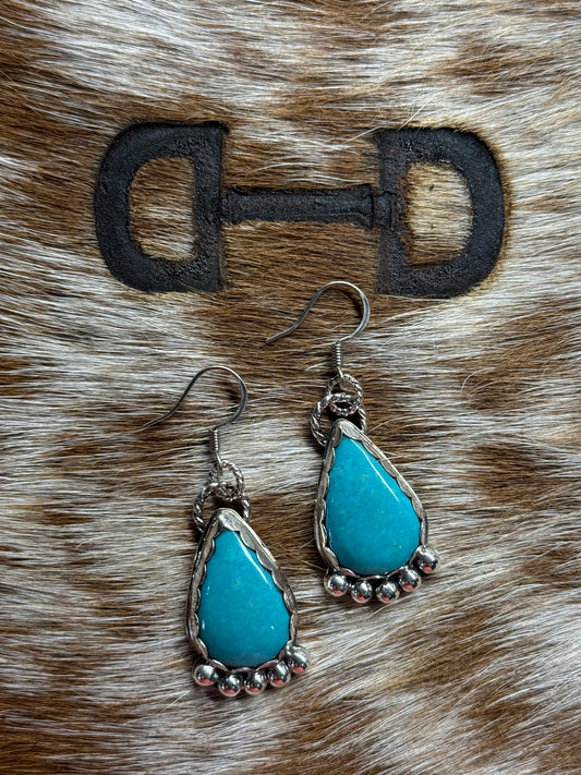 Turquoise Hook Earrings